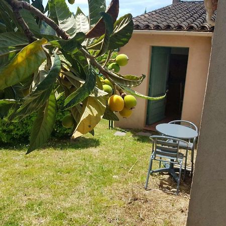 Grand Studio La Roquette-sur-Siagne Exterior photo